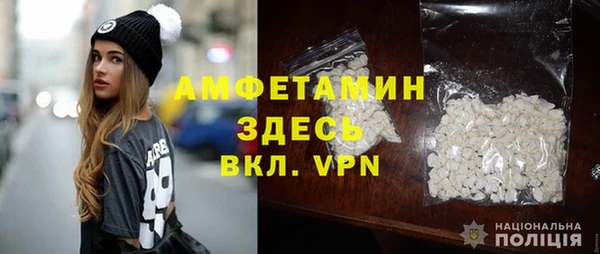 ешки Горняк