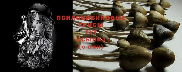 кристаллы Гусев