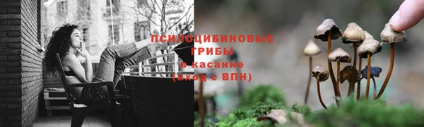 mdpv Горнозаводск