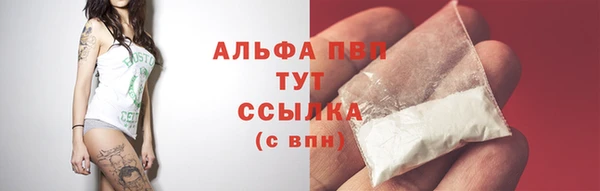 мет Гусиноозёрск