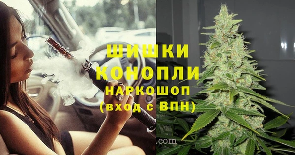 mdpv Горнозаводск