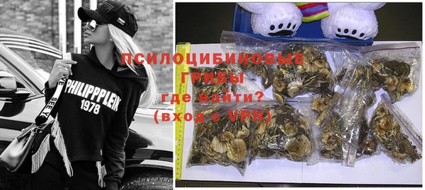 мет Гусиноозёрск