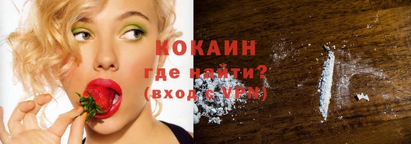ешки Горняк