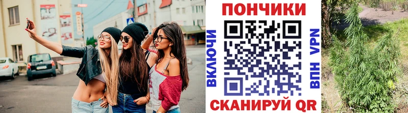 Конопля OG Kush  Дмитров 